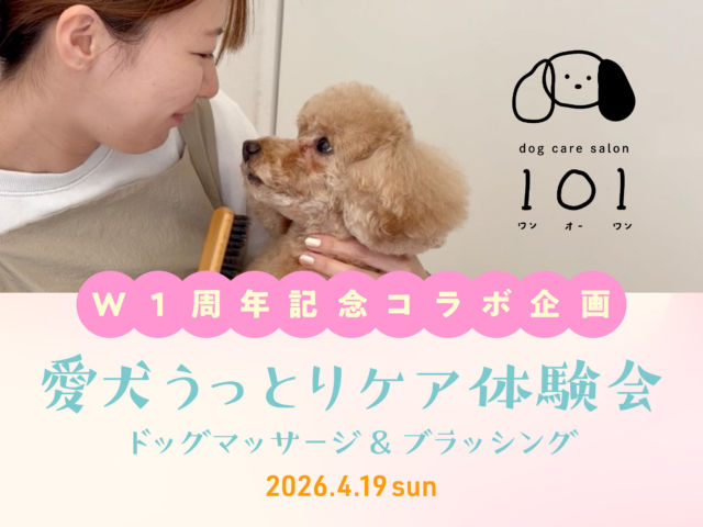 4/19（日）愛犬うっとりケア体験会